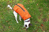 All Weather Dog Jacket in Orange - FURRPLAY