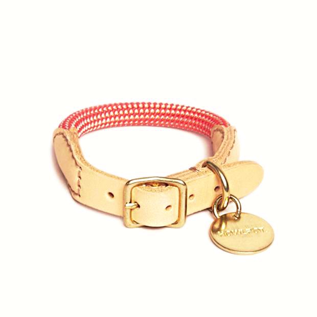 Howlpot We Are Tight: Rope Dog Collar| Coral Ade - FURRPLAY