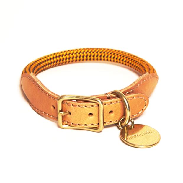 Howlpot We Are Tight: Rope Dog Collar| Yellow Jacket - FURRPLAY