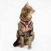 Sashimi | Step In Cat Harness - FURRPLAY