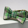 The Jameson Bow Tie - FURRPLAY