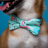 The Kayla [ Mint ] Bow Tie with Matching Collar - FURRPLAY