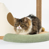 Kitty Island Cat Scratcher