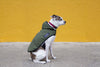 All Weather Dog Jacket in Olive - FURRPLAY