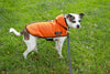 All Weather Dog Jacket in Orange - FURRPLAY
