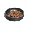 Zee Cat Duo Bowl for Cats | Black