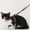 Cat Harness with Matching Leash | 3 Designs