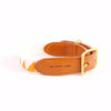 See Scout Sleep Nice Grill Leather Dog Collar | Tangerine x Cream - FURRPLAY