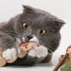 Catnip & Silver Vine Cat Toy | 3 Types