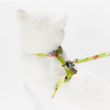 Cat Harness with Matching Leash | 3 Designs