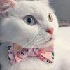 The Kayla [ Pink ] Bow Tie with Matching Collar - FURRPLAY