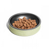 Zee Cat Duo Bowl for Cats | Olive