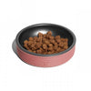 Zee Cat Duo Bowl for Cats | Terracotta