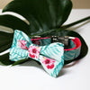 The Isla Bow Tie with Matching Collar - FURRPLAY