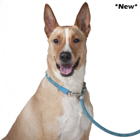 Leader Leash | Leisure Collection - FURRPLAY
