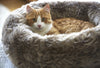 MiaCara Lana Cat Bed | 3 Colors - FURRPLAY