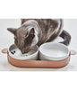 Tavoletta For Cats | 3 Colors