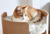 MiaCara Torre Cat Scratching Post | 3 Colors - FURRPLAY